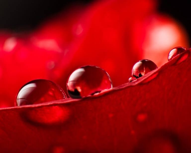 Foto: Significados del color rojo